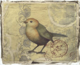 Postcard Song I Láminas por Jennifer Goldberger Postcard Song I Láminas por Jennifer Goldberger