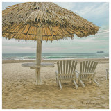 Ixtapa Posters by Terry Lawrence