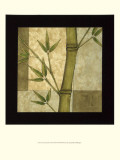 Peacock Bamboo II Posters by Jennifer Goldberger