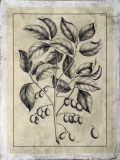 Embellished Antique Foliage V Posters av Pierre-Joseph Buchoz Embellished Antique Foliage V Posters av Pierre-Joseph Buchoz
