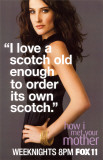 How I Met Your Mother Masterprint