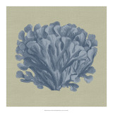Chambray Coral III Print