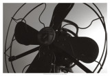Vintage Fan Study III Prints by Renee Stramel