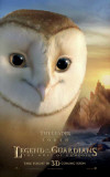 The Legend of the Guardians: The Owls of Ga'Hoole - Soren Masterprint