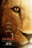 The Chronicles of Narnia - The Voyage of the Dawn Treader Photo