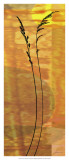 Sunset Duet IV Prints by James Burghardt