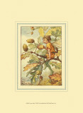 The Acorn Fairy Prints