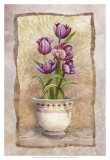 Spring Tulips Posters by Abby White