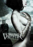 BFMV -  Fever Print