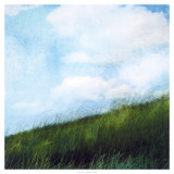 Bright Field II Plakat av Ingrid Blixt