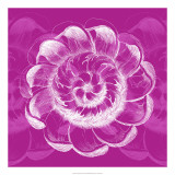 Chromatic Rosette I Posters