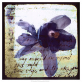 Blooming Purple II Prints