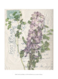 Small Postcard Wildflowers I Prints by Jennifer Goldberger