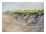 Dunes Prints by Joe Terrone