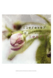 Blossoming Inspiration III Prints