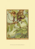 The Beech Tree Fairy Print by Vision Studio 