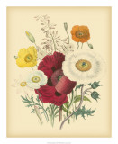 Garden Bouquet II Print by Jane Loudon Garden Bouquet II Print by Jane Loudon