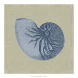 Chambray Shells II Prints by Vision Studio 