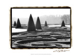 Palace of Versailles Garden I Art by Laura Denardo