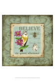 Wings of Wonder IV Prints by Jane Maday