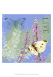 Butterflies Inspire I Prints by Jane Maday