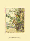 The Elm Fairy Posters The Elm Fairy Posters