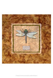 Dragonfly Prints by Abby White