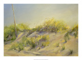 Evening Dunes Print by Joe Terrone