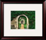 Ivy and Arches at Les Chartreuses Walled Gardens, Coupesarte, Basse-Normandy, France Framed Photographic Print by Diana Mayfield