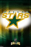 Stars - Logo 2010 Posters