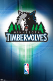 Timberwolves - Logo 2010 Photo