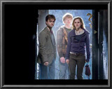Harry Potter and The Deathly Hallows Part 1 - Harry, Ron and Hermoine Photo Prints