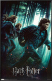 Harry Potter and the Deathly Hallows Prints Harry Potter and the Deathly Hallows Prints