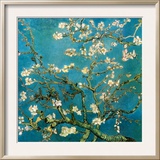 Almond Branches in Bloom, San Remy, c.1890 Art by Vincent van Gogh