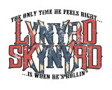 Lynyrd Skynyrd Sträckt Canvastryck