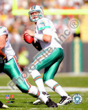 Chad Henne 2010 Action Photo