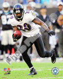 Ed Reed 2010 Action Foto