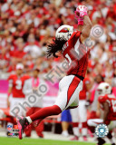 Larry Fitzgerald 2010 Action Foto