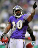 Ed Reed 2010 Action Photo