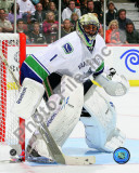 Roberto Luongo 2010-11 Action Photo