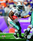 Ricky Williams 2010 Action Photo