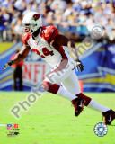 Adrian Wilson 2010 Action Foto