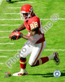 Dwayne Bowe 2010 Action Foto