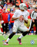 Jason Campbell 2010 Action Foto