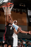 Utah Flash v Reno Bighorns: Patrick Ewing and  Jr., Orien Greene Photographic Print by David Calvert