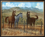 Appaloosa I Prints by Ron Jenkins
