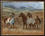 Appaloosa II Posters by Ron Jenkins