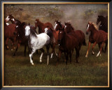 Wild Horses Poster by Ron Kimball