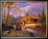 Deer Near Cabin Posters by M. Caroselli