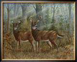 Deer Family II Posters by Ron Jenkins